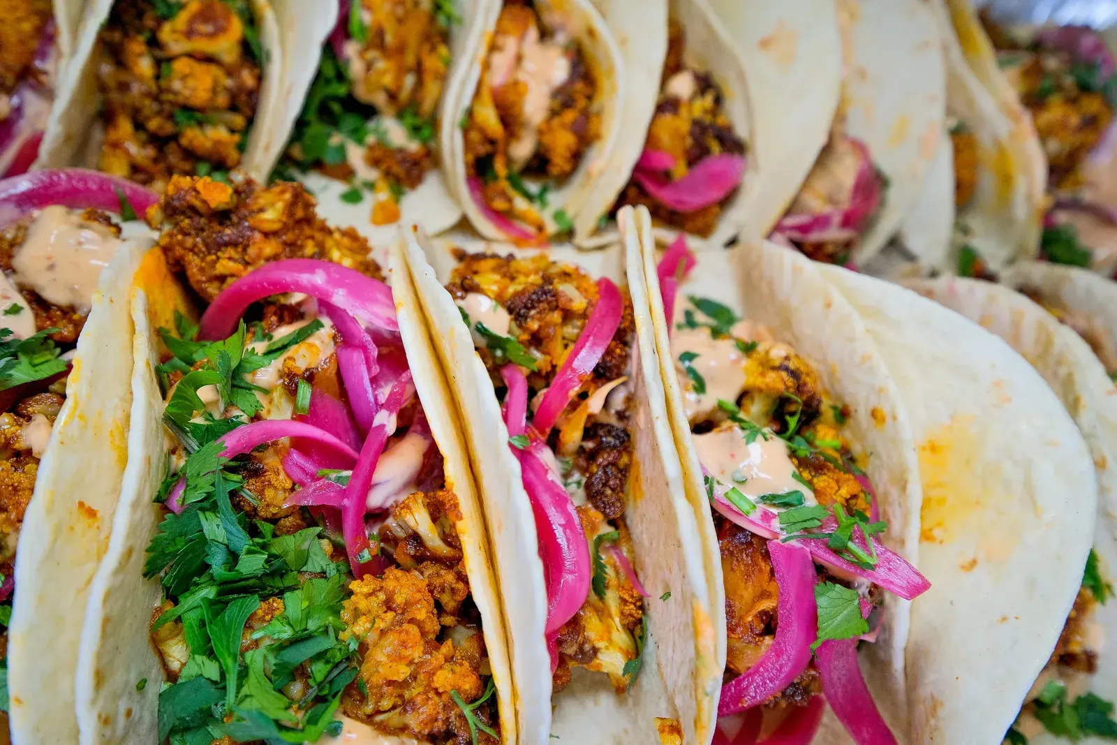 A spread of wood-fired tacos and smoked BBQ catered by Pit & Masa